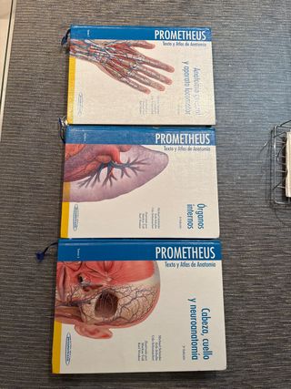 Atlas de anatomia PROMETHEUS