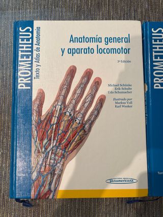 Atlas de anatomia PROMETHEUS