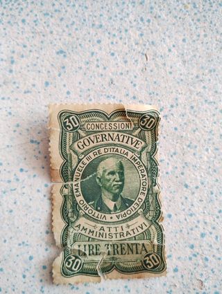 Francobollo 30 Lire Italia 1930