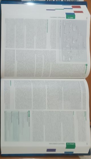 PRINCIPIOS DE MEDICINA INTERNA. Harrison Vol.II (Spanish Edition)[Hardcover]