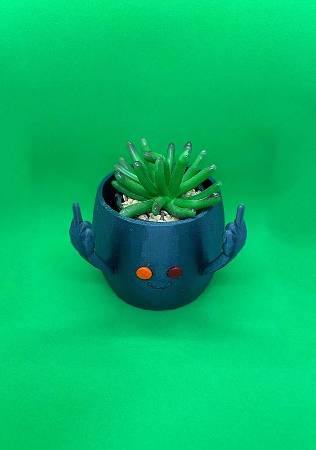 Vaso cactus dito medio - 3D