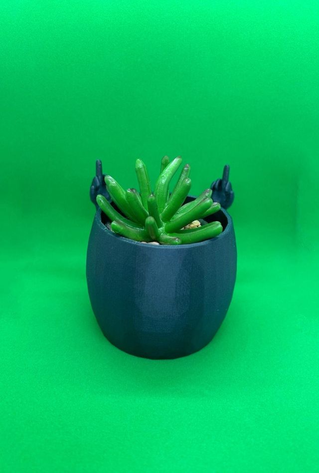 Vaso cactus dito medio - 3D