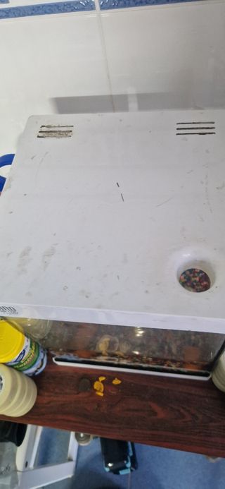 Pecera 20L - Acuario pequeño blanco