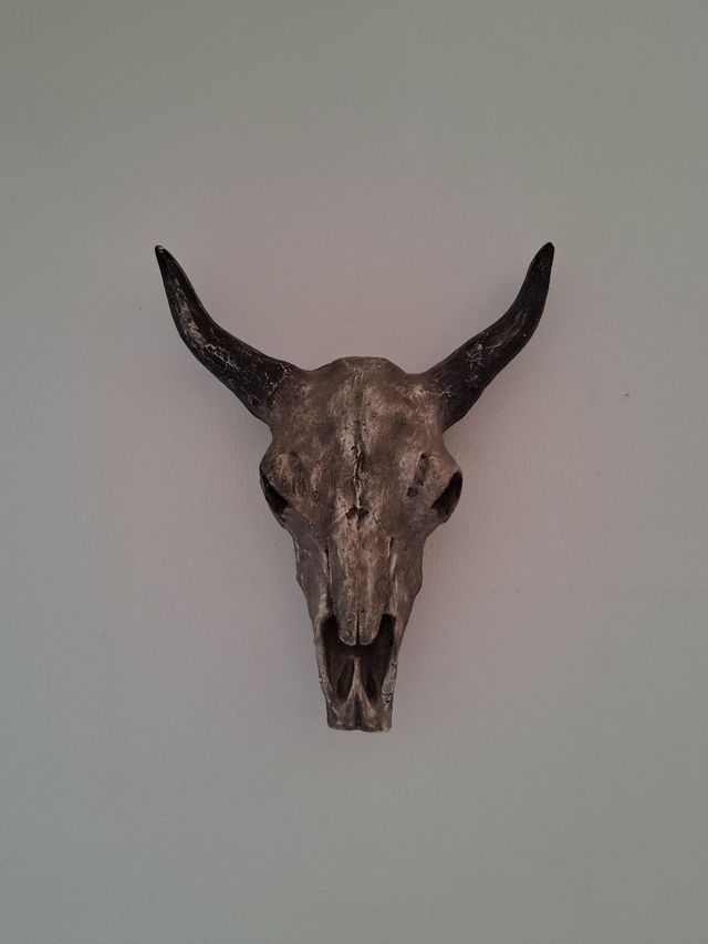 Teschio sintetico decorativo