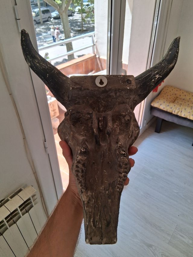 Teschio sintetico decorativo