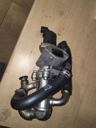 Válvula EGR Fiat Multijet/Opel CDTI
