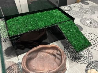 Terrario / Aquario de cristal 45x25x20cm