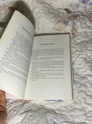 Tirant lo Blanc. Episodis amorosos. Text adapta...