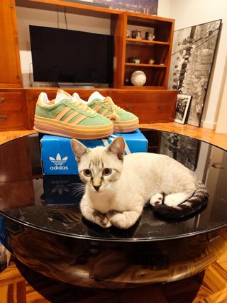 Adidas Gazelle 36 - Verde/Naranja