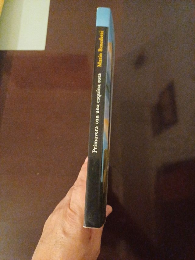 PRIMAVERA CON UNA ESQUINA ROTA - ALI101 (LITERA...