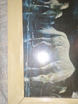 Cuadro caballos, azul y blanco