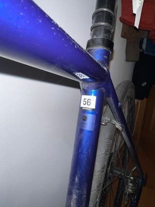 Bicicletta da corsa Trek Domane AL 2 misura 56