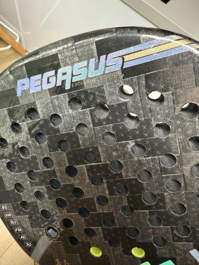 SIUX pegasus GIANLUCA VACCHI