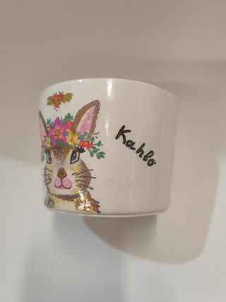Maceta serie ❤️ Frida Kahlo