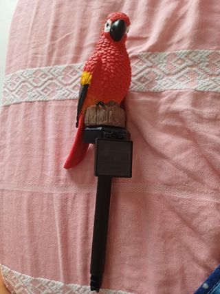 Statua pappagallo rosso plastica