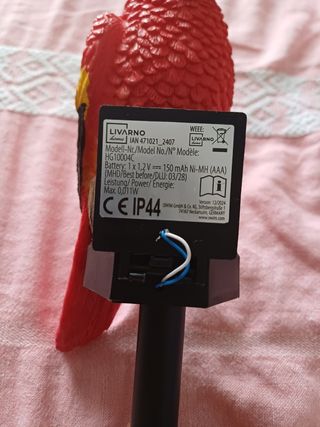 Statua pappagallo rosso plastica