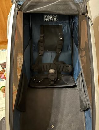 Carrito bici Thule Cross 2