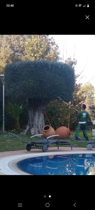 Jardineros 