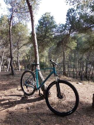 Bicicleta BH Expert montaña monoplato