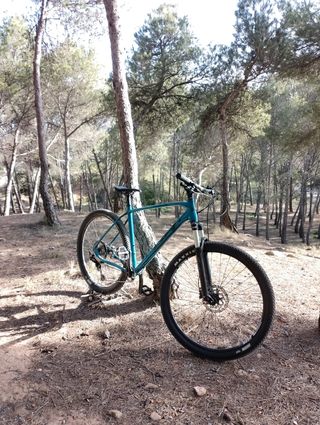 Bicicleta BH Expert montaña monoplato