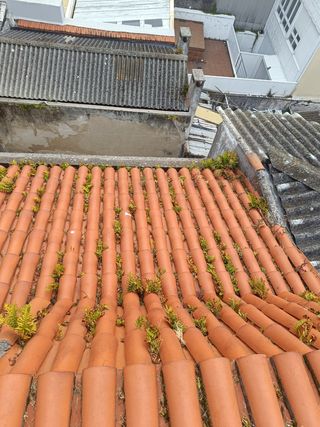 Impermeabilización de tejados y algo mas 613167567