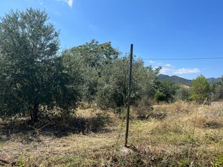 Solar urbano - Terreno