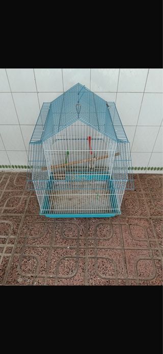 Jaulas para Pájaros