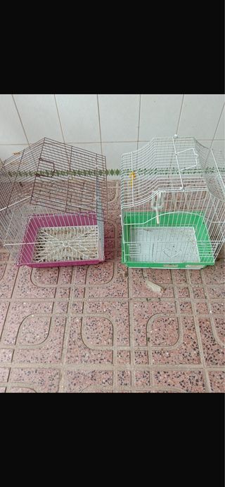 Jaulas para Pájaros