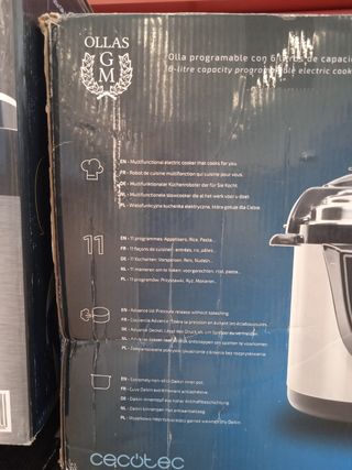 Olla programable 6L Modelo D