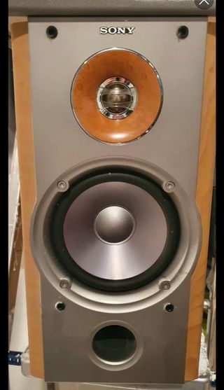 Altavoces Sony SS-NX1 100W