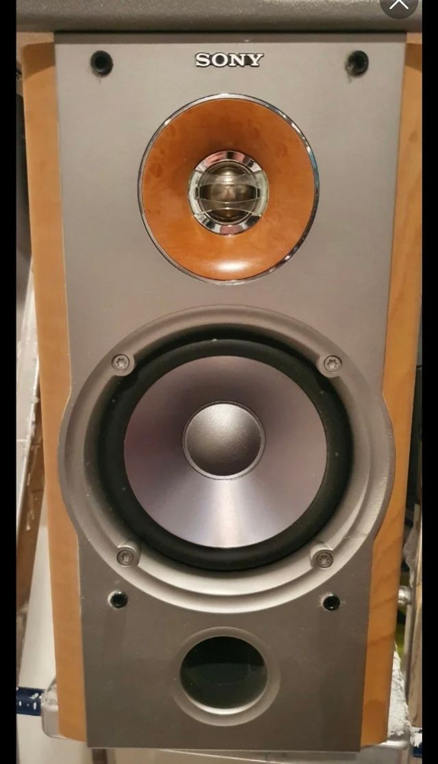 Altavoces Sony SS-NX1 100W