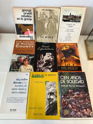 Lote de libros literarios variados