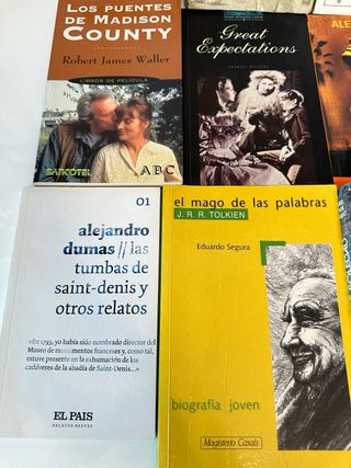 Lote de libros literarios variados