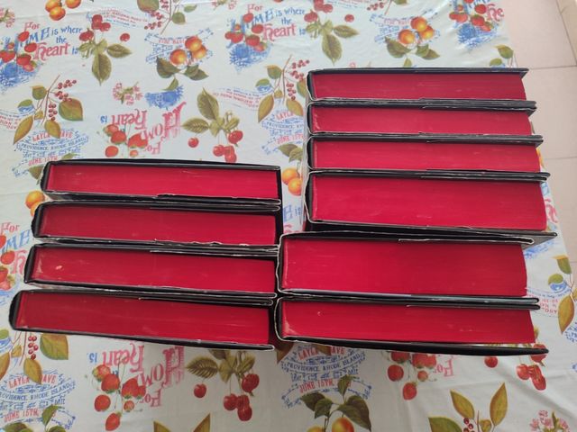 Set 9  libri della saga il diario del vampiro.