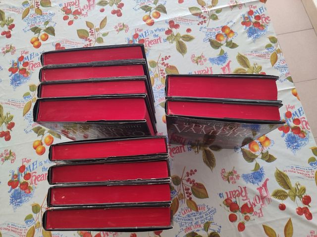 Set 9  libri della saga il diario del vampiro.