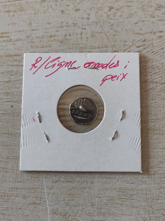 Moneda Griega Kamarina 410-405 a.C.