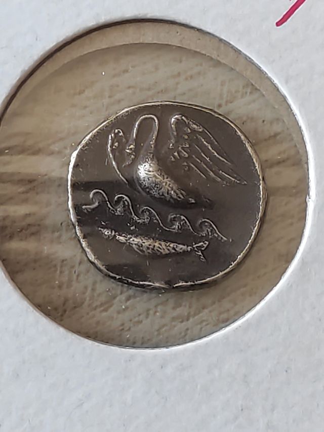 Moneda Griega Kamarina 410-405 a.C.