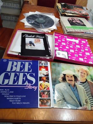 Vinilos variados grandes - Colección variada