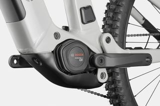 CANNONDALE MOTERRA 3 2025 Chalk Nueva Talla M