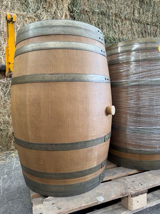 Vasi per botti di vino - rovere
