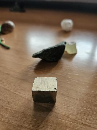 cartas animales 