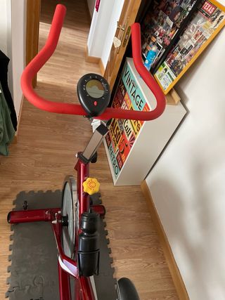 Bicicleta spinning BH Two - Casi nueva