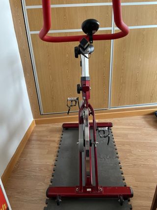 Bicicleta spinning BH Two - Casi nueva
