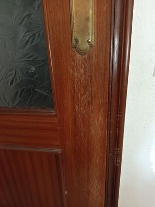 Puerta interior madera maciza cristalera