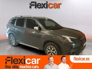 Subaru Forester 2.0i Hybrid CVT Executive Plus