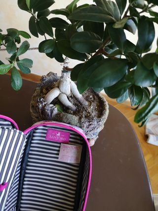 Estuche Gorjuss doble
