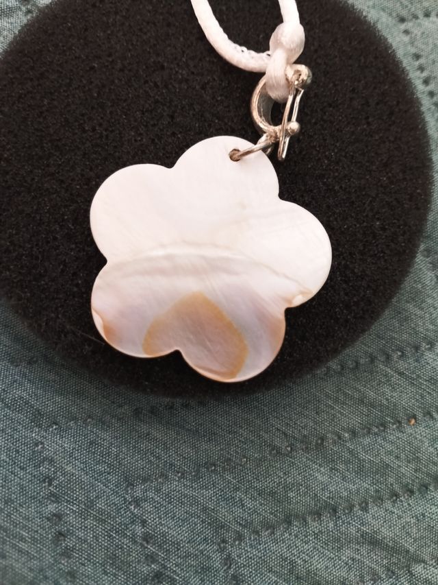 Colgante concha mariposa