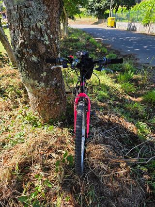 Bicicleta niña 24" impecable