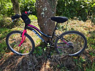 Bicicleta niña 24" impecable