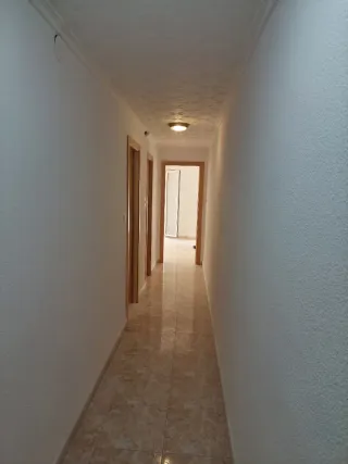 Capital Alicante pintor económico